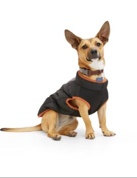 Reddy Black Primaloft Dog Jacket, Large