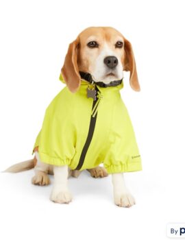 Backcountry x Petco The Yellow Rain Dog Jacket, X-Large