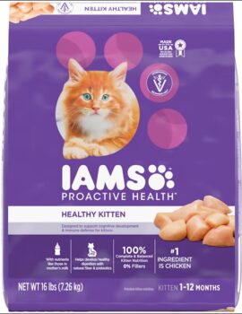 Iams ProActive Health Chicken Dry Kitten Food, 16 lbs.