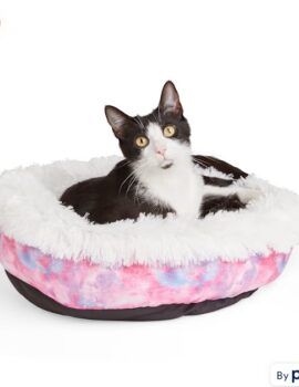 EveryYay Snooze Fest Grey 2-in-1 Convertible Cat Bed, 16″ L X 16″ W