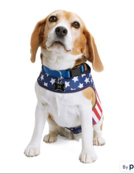 YOULY USA Stars-and-stripes Dog Harness, X-Small