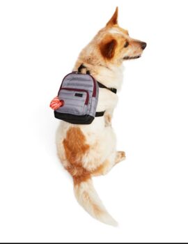 Reddy Quilted Dog Backpack, Large/X-Large