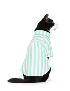 YOULY Green Stripe Shirt for Cats, Small/Medium