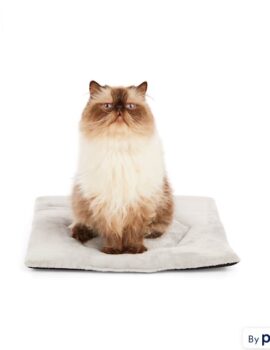 EveryYay Gray Snooze Fest Cozy Cat Mat, 18″ L X 18″ W X 0.5″ H