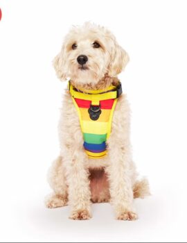 Canada Pooch Everything Stripe Dog Harness, Medium