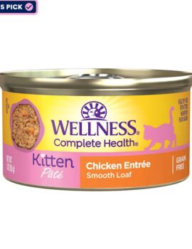 Wellness Complete Health Kitten Chicken Pate Canned Wet Food, 3 oz.