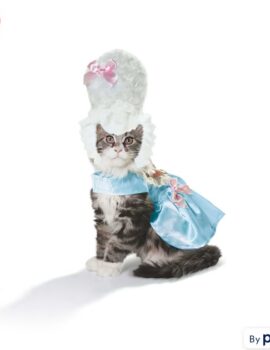 Bootique Marie Antoinette Cat Costume, X-Small