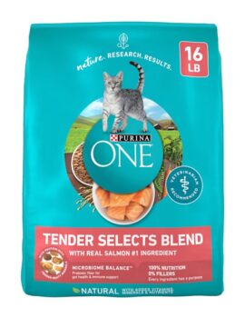 Purina ONE Tender Selects Blend With Real Salmon Natural Dry Cat Food, 16 lbs.