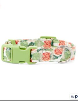 YOULY The Wanderer Green & Multicolor Go Fig-ure Dog Collar, Small