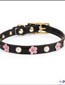 YOULY Black/Pink Flower Dog Collar, X-Small/Small