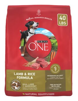 Purina ONE Lamb & Rice Formula Dry Dog Food, 40 lbs.