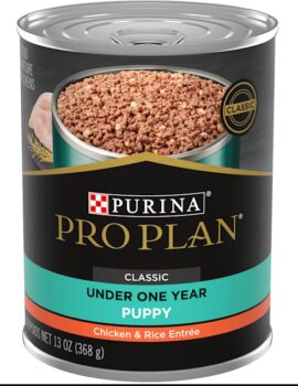 Purina Pro Plan Pate FOCUS Classic Chicken & Rice Entree Wet Puppy Food, 13 oz.