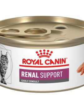 Royal Canin Veterinary Diet Feline Renal Support Early Consult Wet Cat Food, 3 oz., Case of 24