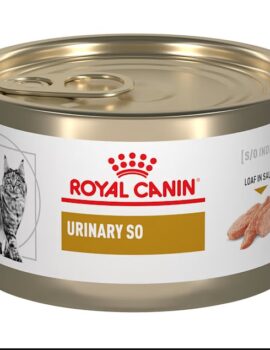 Royal Canin Urinary SO in Gel Canned Wet Cat Food, 5.1 oz.