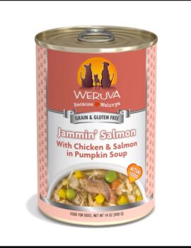 Weruva Classics Jammin’ Salmon with Chicken & Salmon in Pumpkin Soup Wet Dog Food, 14 oz., Case of 12