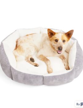 EveryYay Lavender Orthopedic Dog Bed, 32″ L X 24″ W