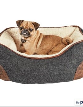 EveryYay Grey Nester Memory Foam Dog Bed, 24″ L X 18″ W