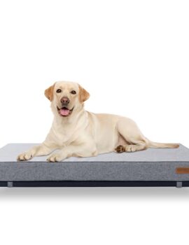 Kopeks Elevated Indoor/Outdoor Bed with Foam Mattress for Dogs, 48″ L X 34″ W X 8.5″ H