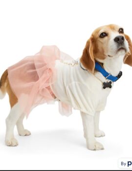 YOULY Tulle Tiered Dog Dress, Small