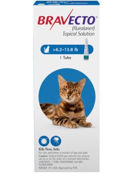 Bravecto Topical Solution for Cats 6.2-13.8 lbs, 3 Month Supply