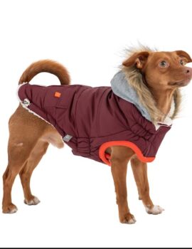 GF Pet Burgundy Winter Sailor Dog Parka, 3X-Large