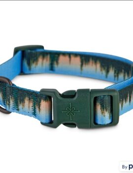 YOULY The Trailblazer Forest-Print Dog Collar, Medium