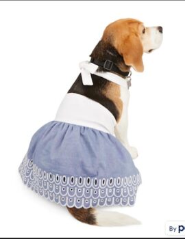 YOULY White Chambray Dog Dress, XX-Small