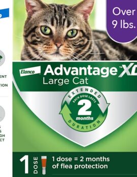 Advantage XD Elanco Cat Topical Flea Prevention & Treatment Over 9 lbs., Pack of 1