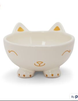 EveryYay Dining In Elevated Cat Face Cat Bowl, 1.2 Cups