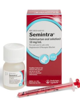 Semintra Oral Solution for Cats, 10MG/ML, 35ML