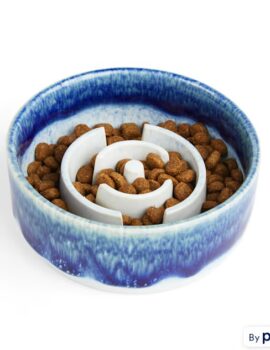 EveryYay Blue Ceramic Ombre Slowfeeder Dog Bowl, 1 Cup