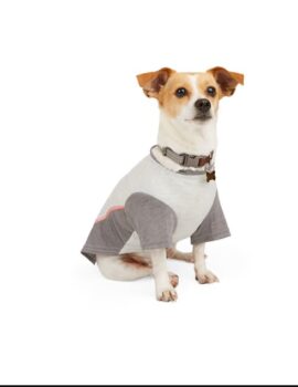 Reddy Grey Cooling Tonal Dog Tee, X-Small