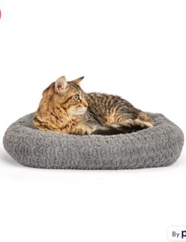 EveryYay Gray Rectangle Snooze Fest Cat Bed, 16″ L X 19″ W X 3.5″ H