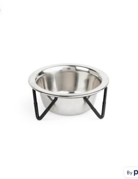 EveryYay Better Together Elevated Stainless-Steel Cat Bowl, 0.75 Cups