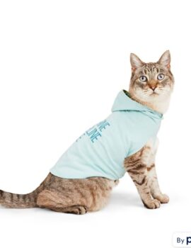 YOULY Cat Sunshine Hoodie, Small/Medium