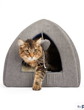 EveryYay Snooze Fest Grey Rectangular Cat Bed, 18″ L X 15″ W X 6″ H