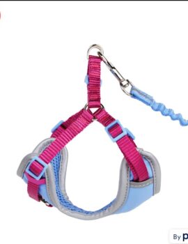 YOULY Purple Outdoor Cat Harness & Lead